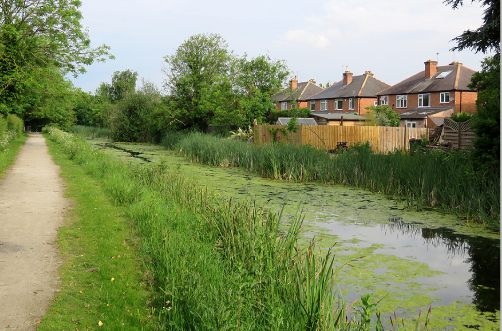 A view of the canal in Lady Bay